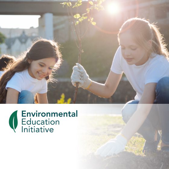 CEP Image Card 560x560 EEI