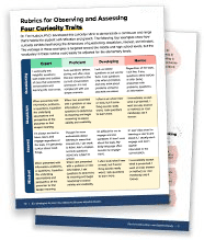 de curiosity rubric mockup thumbnail