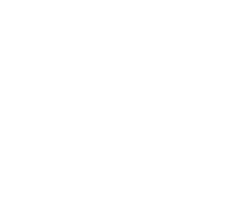 PBI Logo Reversed White